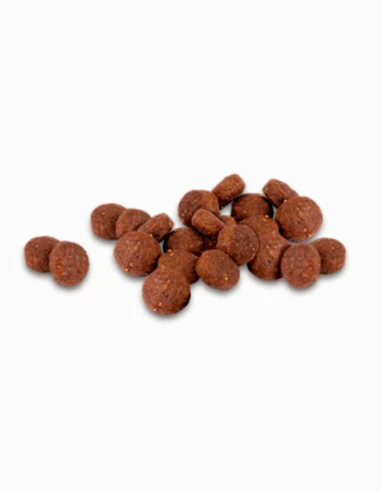 Comida gato adulto COMPY con salmón, atún, frutas y verdura, 10 kg